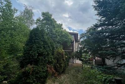 Vila individuala / S+P+1E+M /Iancu Nicolae-Zoo / necesita renovare - 7