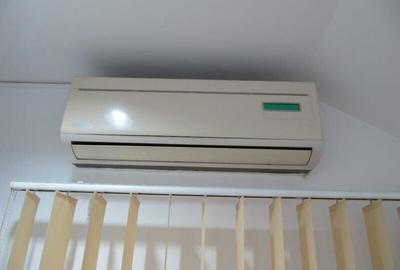 - Baba Novac - Campia Libertatii - 7