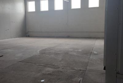 Hala industriala depozitare/productie, zona Grivitei-Dedeman, 230mp - 3