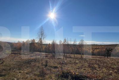 Teren construibil de vanzare, zona casele Micesti - 3