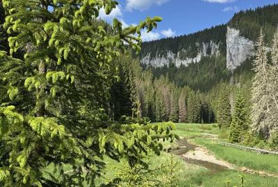 Teren de 3000 mp, în Exterior Vest