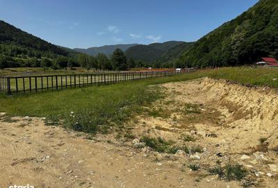 Spațiu comercial, în Plaiul Foii - 4