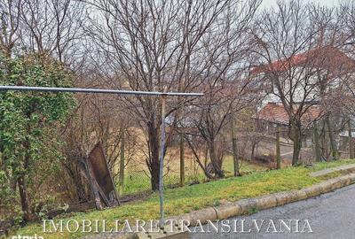 Spațiu comercial, în Central