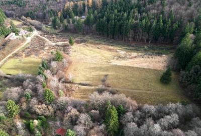 Teren intravilan 2000 mp în Vulcan BV – Oază de liniște între pădure și lacuri - 7