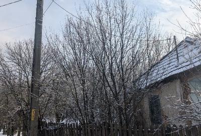 Teren Construcții intravilan de 1725 mp, în Peșteana-Jiu - 6