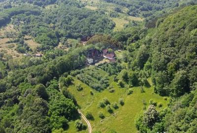 Casă cu 10 camere cu Teren 24700 Mp în Berchez - 4