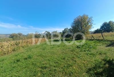 Casa de patrimoniu cu teren arhitectura saseasca sat Nou judetul Sibiu Casa de patrimoniu cu teren arhitectura saseasca sat Nou judetul Sibiu - 15