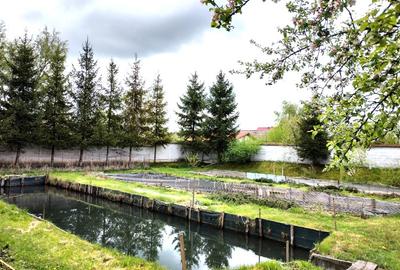 Teren Construcții intravilan de 2300 mp, în Prejmer - 1