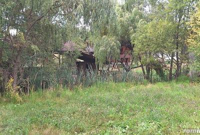 Casă cu 6 camere cu Teren 2700 Mp în Bradu - 15