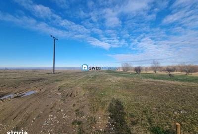 Teren de 22790 mp, în Recea - 11