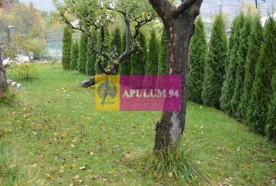 Casă cu 3 camere cu Teren 727 Mp în Poiana - 15