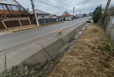 Teren Construcții intravilan de 3000 mp, în Măgura - 3