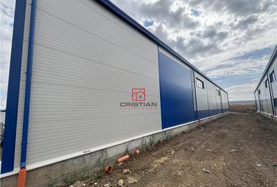 Spațiu comercial, de 600 mp, în Ștefăneștii de Jos - 1