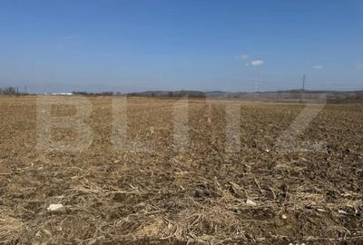 Teren de 2900 mp, în Central - 2