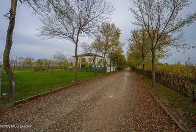 Afumati Teren intravilan de vanzare Cartier rezidential deosebit - 14