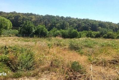 Teren de 519 mp, în Găneasa - 1