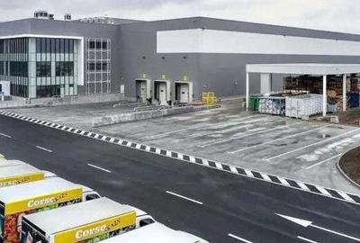 Teren de vânzare – 14.352 mp în Chitila, Centura București - A0 - 6