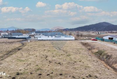 Spațiu comercial, în Hărman - 10