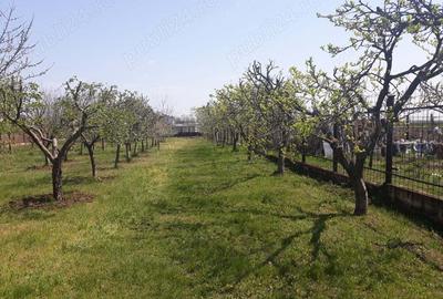 DE VANZARE: Vila P +1E Caracal, str. General Magheru77. - 9