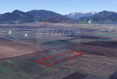 Teren extravilan de vanzare 6.500 mp, Harman, Bra?ov - 3