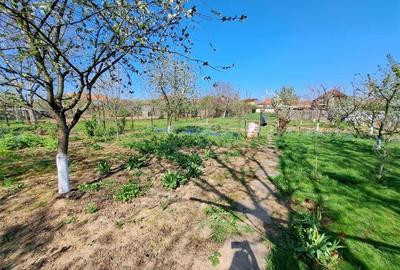 RECO Casa Marghita - 3