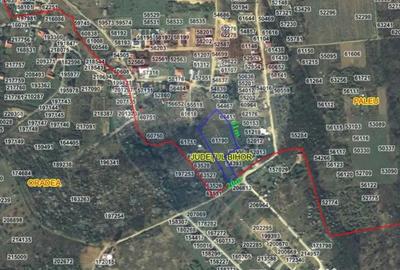 Teren de 6372 mp, în Paleu - 6