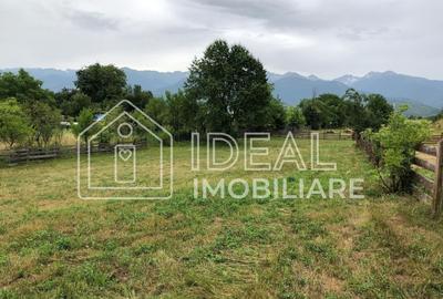 Teren Construcții intravilan de 1829 mp, în Cârțișoara - 5