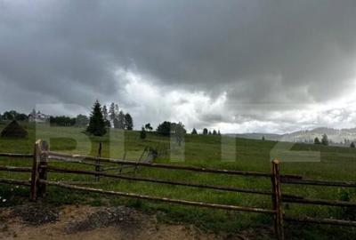 Teren de vanzare intravilan in Poiana Stampei, 2 hectare - 1