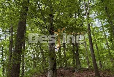Teren extravilan de 17 mp, în Bălilești - 11
