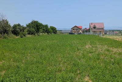 Teren Magura Farbe , 4600m dubla deschidere - 3