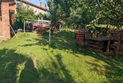 RESTAURANT DE VÂNZARE-COM. OBREJA\SAT IAZ\CARAȘ SEVERIN - 9