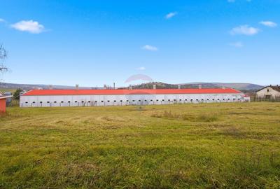 Teren Construcții intravilan de 43708 mp, în Scobâlțeni - 10