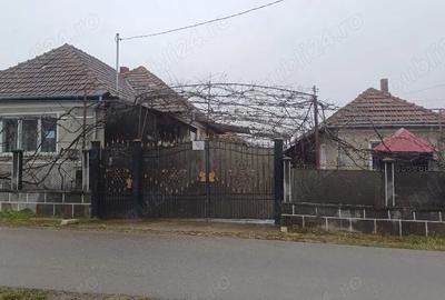 Casă cu 3 camere cu Teren 1013 Mp în Bogei - 4