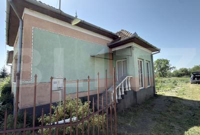 Casă cu 3 camere cu Teren 4000 Mp în Vetiș - 4