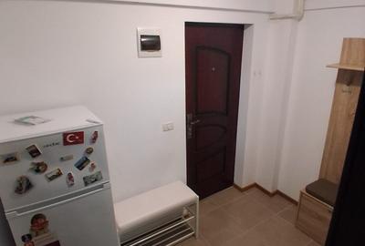 De inchiriat apartament, 1 camera, decomandat, 50 mp,Bucium Residence, Cod159827 - 4