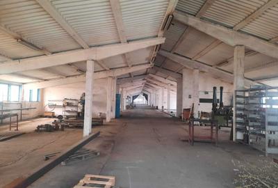 Spațiu comercial, de 2,300 mp, în Panic - 3