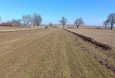 Teren de 1000 mp, în Ghigoiești - 4
