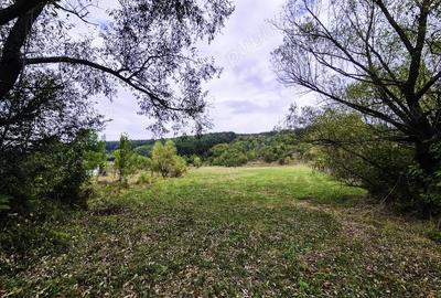 Teren 1,4 hectare Draganu Arges - 3