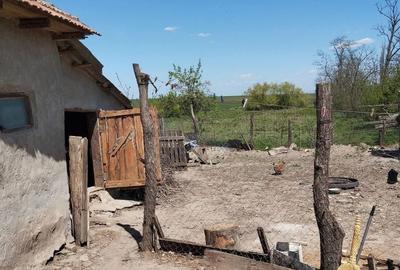 Casă cu 4 camere în Bărzila - 7