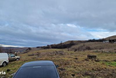 Spațiu comercial, în Sânnicoară - 6