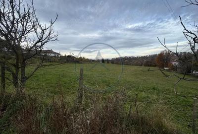 Teren intravilan 1500mp, 2 fronturi, Valea Jelnei - 3