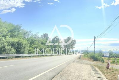 Teren intravilan de 3024 mp, în Moi - 2