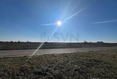 Teren de 15200 mp, în Corbeanca - 1