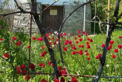 Casă cu 3 camere în Central - 3