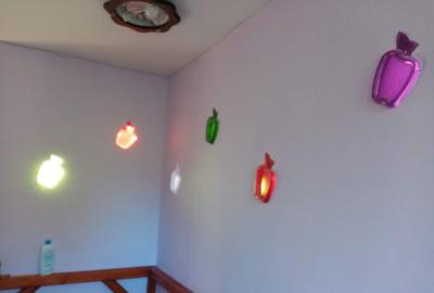 Casa de vanzare la liziera padurii Comuna Boga?i,... - 9