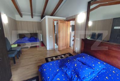 Casa vacanta 5 camere Paltinoasa, zona excelenta, in circuit turistic! - 7