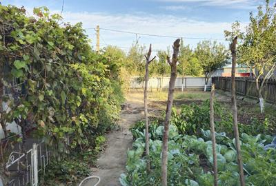 Casă cu 4 camere în Chilia Veche - 1