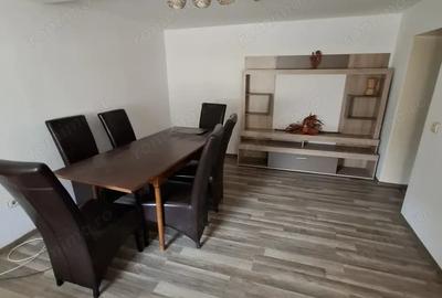 Sanandrei Central Casa 4 Camere - 5