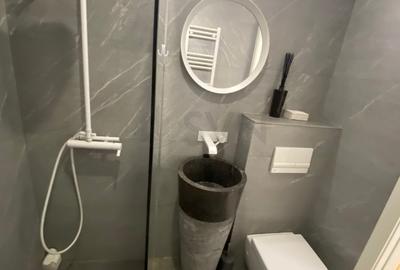REA1022793 Apartament 2 Camere 2 Bai Herastrau - 17