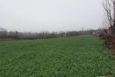 Teren de 6000 mp, în Comana - 2